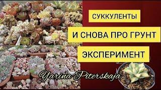 И снова про грунт. Эксперимент удался!