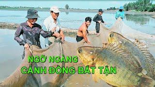 Chuyến Phiêu Lưu Tới Cánh Đồng Bất Tận Những Điều Bất Ngờ Khiến Bạn Ngỡ Ngàng!