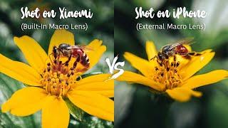 Are External Macro Lenses useless in 2021? - Xiaomi Mi 11 VS iPhone 12 Mini