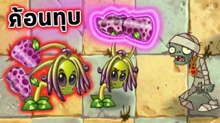 เปลี่ยนใบให้เป็นค้อน ทุบซอมบี้ไม่เหลือ Plants Vs Zombies 2