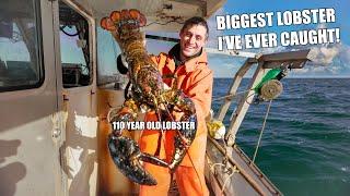 MASSIVE Maine Lobster! (100 years old?!)