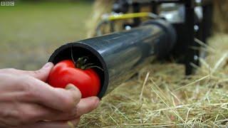 Building a FOOD CANNON! | Earth Science