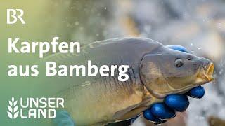 Karpfen aus Bamberg | Unser Land | BR Fernsehen