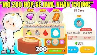 Play Together | MÌNH MỞ 200 HỘP 3000Kc, SĂN SẺ JAVA NHẬN TRỨNG, NHẬN 100 VÉ 1500Kc