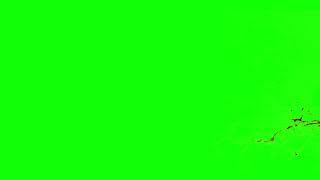 [4K] Blood Splatter Green Screen