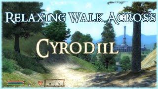 Relaxing Walk Across Cyrodiil - Ambient Music and Sounds (Oblivion)