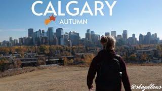 CALGARY NATURE WALK - CINEMATIC CANON M50