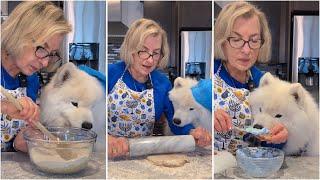 My dog's first time making grandma's cookies