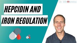 Hepcidin and Iron Regulation