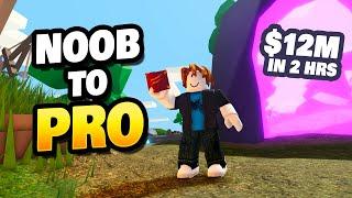 Noob to PRO - $12M in 2 Hours! (Roblox Islands)