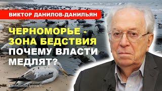 ️РАЗЛИВ МАЗУТА В ЧЁРНОМ МОРЕ/ Будущее черноморских курортов