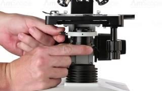 AmScope Darkfield Microscopy Tutorial - DK-DRY100, DK-OIL100 on T490 Compound Microscope