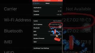 How to see Wi-Fi Mac address in iPhones