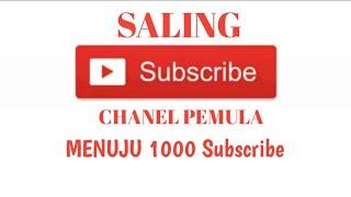 SALING SUBSCRIBEPEJUANG 1000 SUBSCRIBE