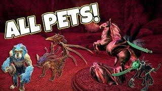 All Pets In Outward Definitive Edition & Where To Find Them