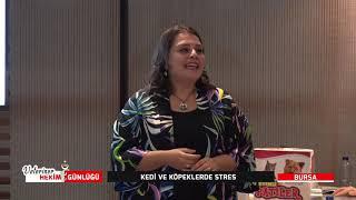 VETERİNER HEKİM GÜNLÜĞÜ | Prof. Dr. EBRU YALÇIN - KEDİ VE KÖPEKLERDE STRES SEMİNER 1.BÖLÜM