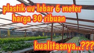 ulasan plastik uv lebar 6 meter paling murah