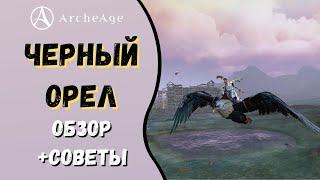 ArcheAge 8.0 | ЛИСМАН | ЧЕРНЫЙ ОРЕЛ. ОБЗОР И СОВЕТЫ ПО ИСПОЛЬЗОВАНИЮ