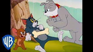Tom et Jerry en Français | Classiques du dessin animé 34 | WB Kids