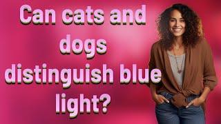 Can cats and dogs distinguish blue light?