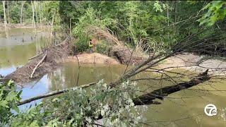 Section of Clinton River Trail closed, completely washed away