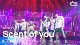 &TEAM(앤팀) - Scent of you (Korean ver.) @인기가요 inkigayo 20230625