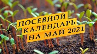 Лунный посевной календарь садовода-огородника на май 2021 года.