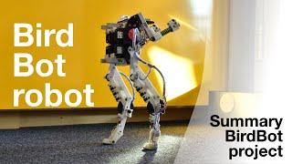 BirdBot, an energy-efficient robot leg inspired by birds' legs