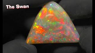 I Can't Believe What's Inside!    "The Swan"   52.4 ct Opal