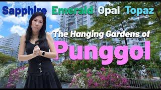 In Depth Analysis on Punggol Ep 4 |  Punggol Sapphire / Emerald / Opal /Topaz