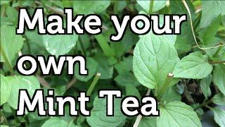 How to Make your own Organic Mint Tea