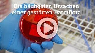 Die häufigsten Ursachen einer gestörten Darmflora - Dysbiose