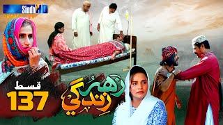 Zahar Zindagi - Ep 137 | Sindh TV Soap Serial | SindhTVHD Drama