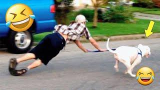 Funny Videos Compilation  Pranks - Amazing Stunts - By Happy Channel #8