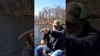 PRETTY CRAPPIE #trending #viral #fishing #shortsvideo #crappiefishing #shorts #blackcrappie