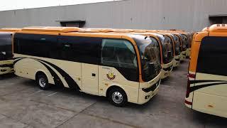 115 Yutong School Bus Shipping to Qatar