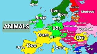 European Languages COMPARISON | Animals