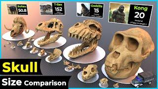 Skull Size Comparison | size Comparison | Biggest skull ️