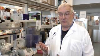 Dr. John Bell, cancer-fighting virus researcher at The Ottawa Hospital