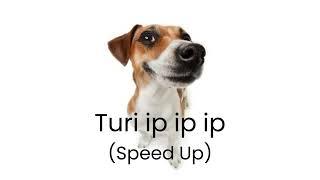 Turi ip ip ip (Speed Up)