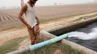 Day#17 Tubewell Swimming Vlog in village Pakistan 2024 // Swimming Tubewell