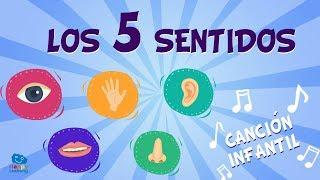 Los 5 sentidos | Canciones Educativas para Niños