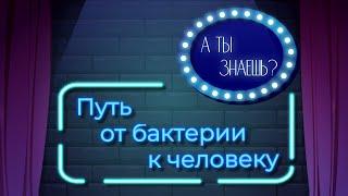 Познавательный мультфильм «А ты знаешь?». Путь от бактерии к человеку