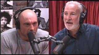 Joe Rogan & Peter Schiff on Minimum Wage