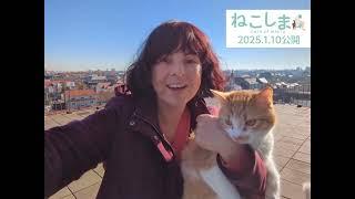 2025.1.10公開『ねこしま』サラ・ジェイン・ポルテッリ監督メッセージ映像到着