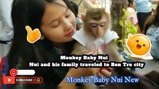 Monkey Baby Nui   Nui and his family traveled to Ben Tre city