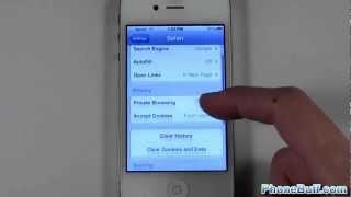 How To Delete Safari Internet History On The iPhone or iPad