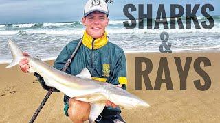 Grey Shark off the Beach! (Rock and Surf Fishing in the Eastern Cape of South Africa)