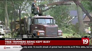 Cleveland area tree trimmers keep busy following Tuesday storms