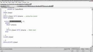 SQL Server  Working with a Cursor